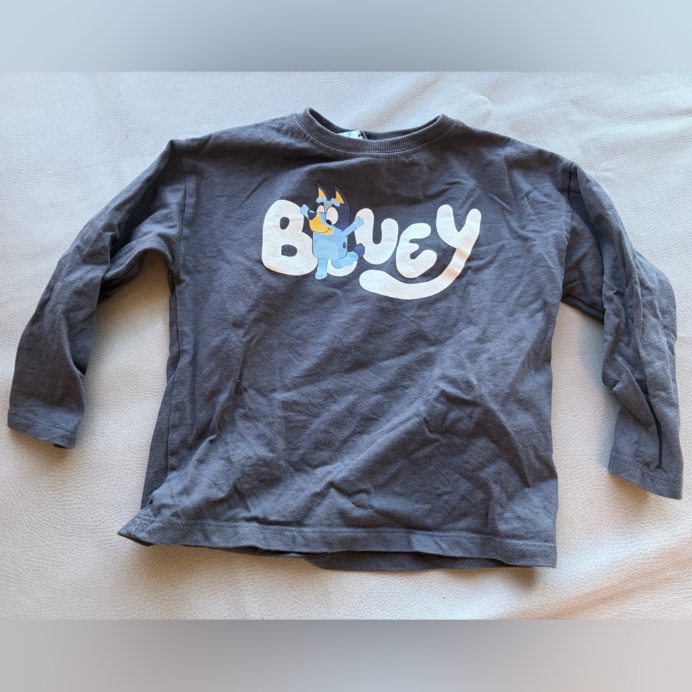 Zara Bluey long-sleeve tee